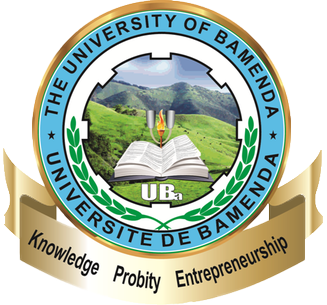 BA in Electronic Engineering